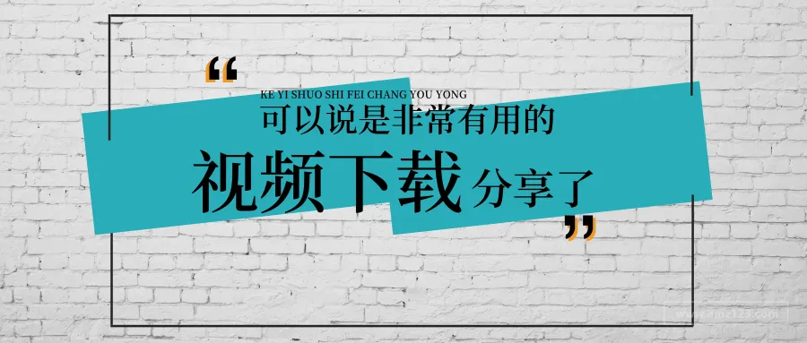 如何下载亚马逊主图和买家秀视频？最后一种方法炒鸡简单！