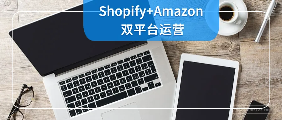 Shopify+亚马逊“混合双打”,解锁店铺运营新玩法