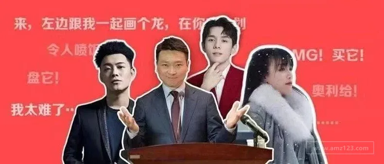 李佳琦、李子柒年赚3.6亿,Anker营收超50亿背后:原来全靠它