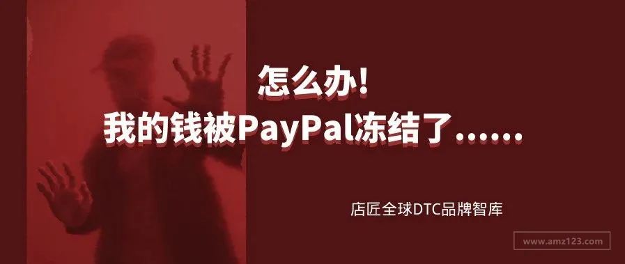 怎么办！我的钱被PayPal冻结了......