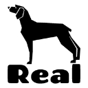 REALStudio