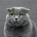 NICK运营补给站