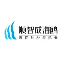 顺智成海鸥跨境财税