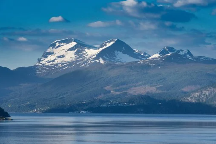 日本公司有几种类型？注册日本公司具有哪些优势？