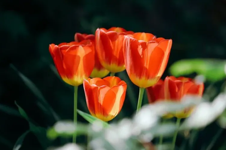 专线快递是指什么?其优势都体现在哪些方面?