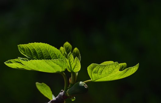 BSCI认证的特点有哪些？BSCI如何认证？