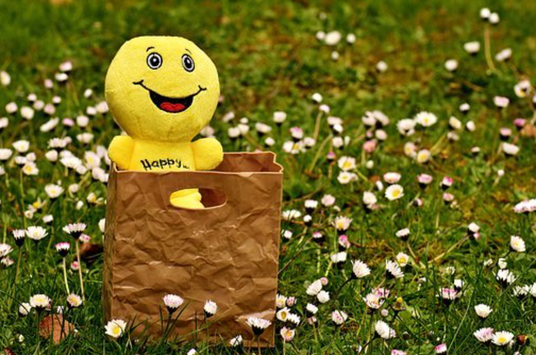 OOCL船公司的优势是什么？主要是在哪些方面？