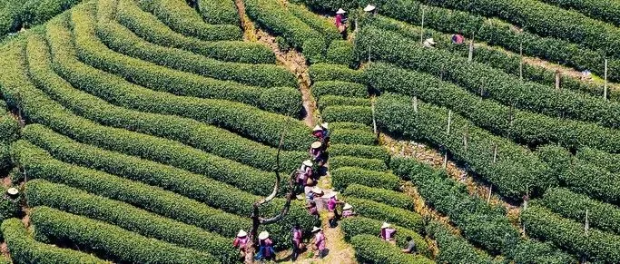跨境电商企业如何与船东签约以及如何处理退运