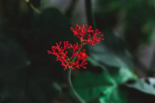 OutOfStock平台为对商家和购物者提供什么好处？分别是什么？