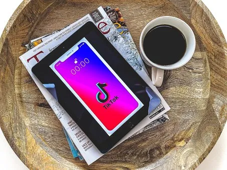 下载好的TikTok视频如何去除水印?可以用什么方法?