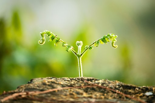 跨境电商通关的最新文件-AMZ123亚马逊跨境导航