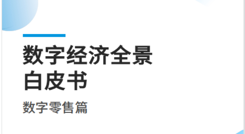 《2022数字经济全景白皮书：数字零售篇》PDF下载