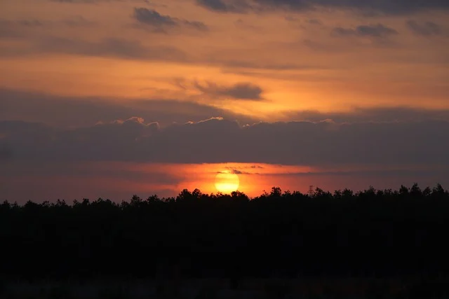 ep签证：有什么作用-如何申请？