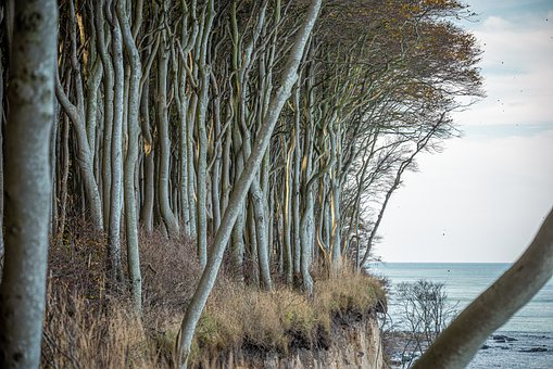 磐安跨境电商技术培训学校怎么样?-AMZ123亚马逊跨境导航