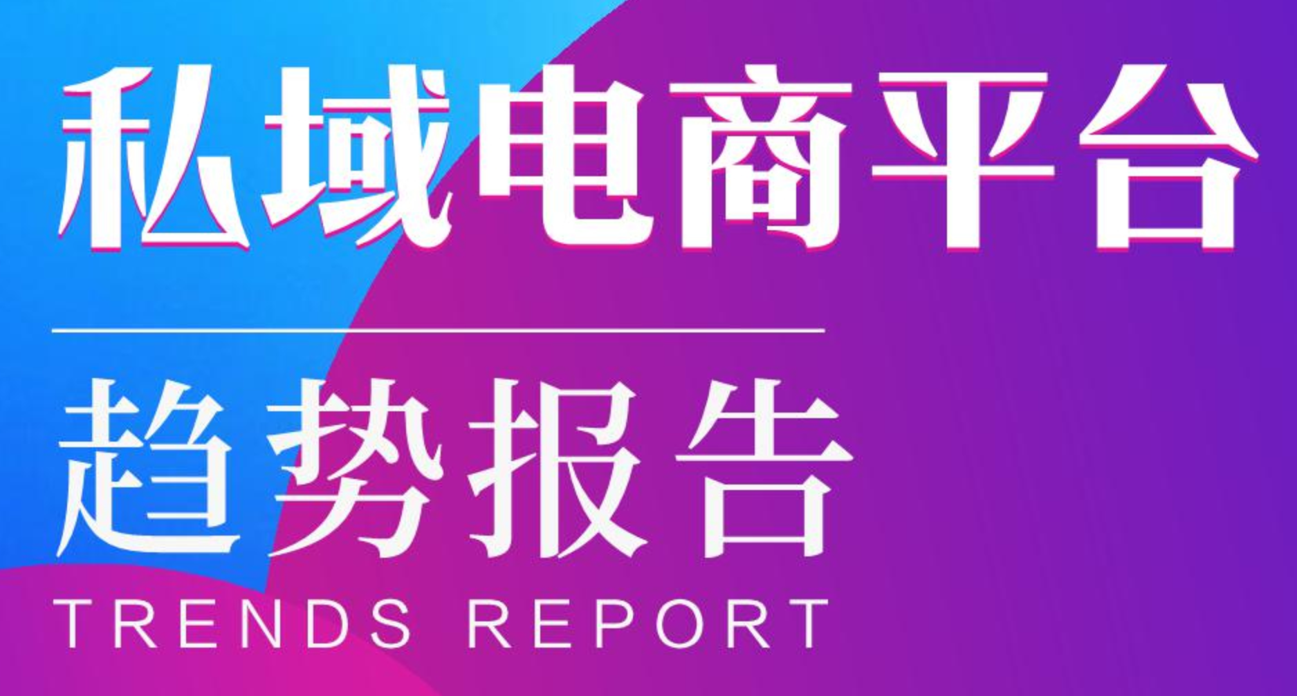 《2022私域电商平台趋势报告》PDF下载