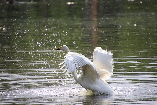 跨境电商平台测评怎么做？-AMZ123亚马逊跨境导航