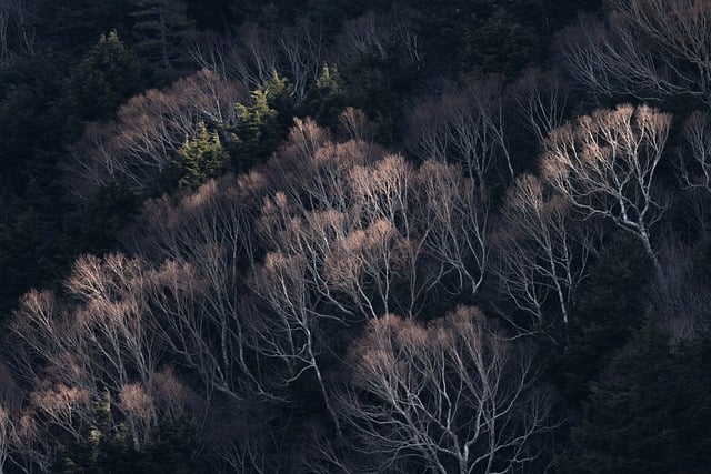 北美线下热卖家如何借助线下平台抓住风口 