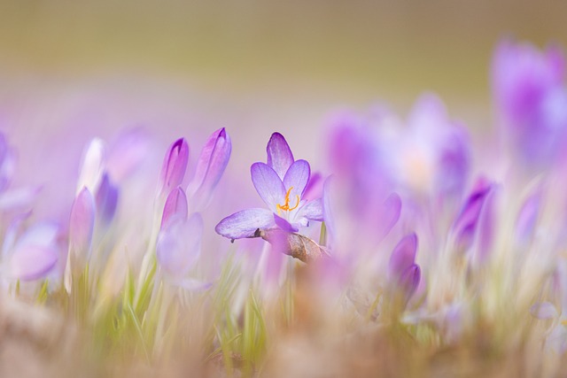 详解阿里巴巴站的注册和交易流程