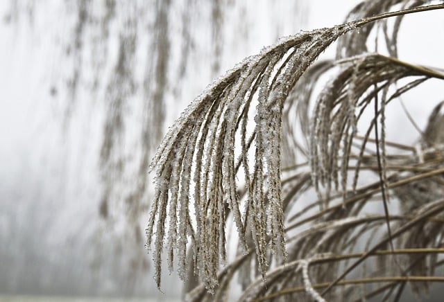 保护自己的注册商标方法 详解商标注册及保护措施