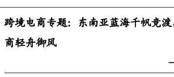 《跨境电商专题：东南亚蓝海千帆竞渡，社交单页电商轻舟御风》PDF下载