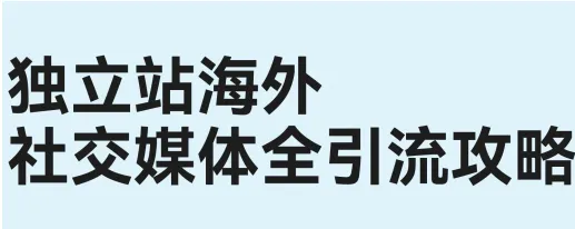 《独立站海外社交媒体平台全引流攻略》PDF下载