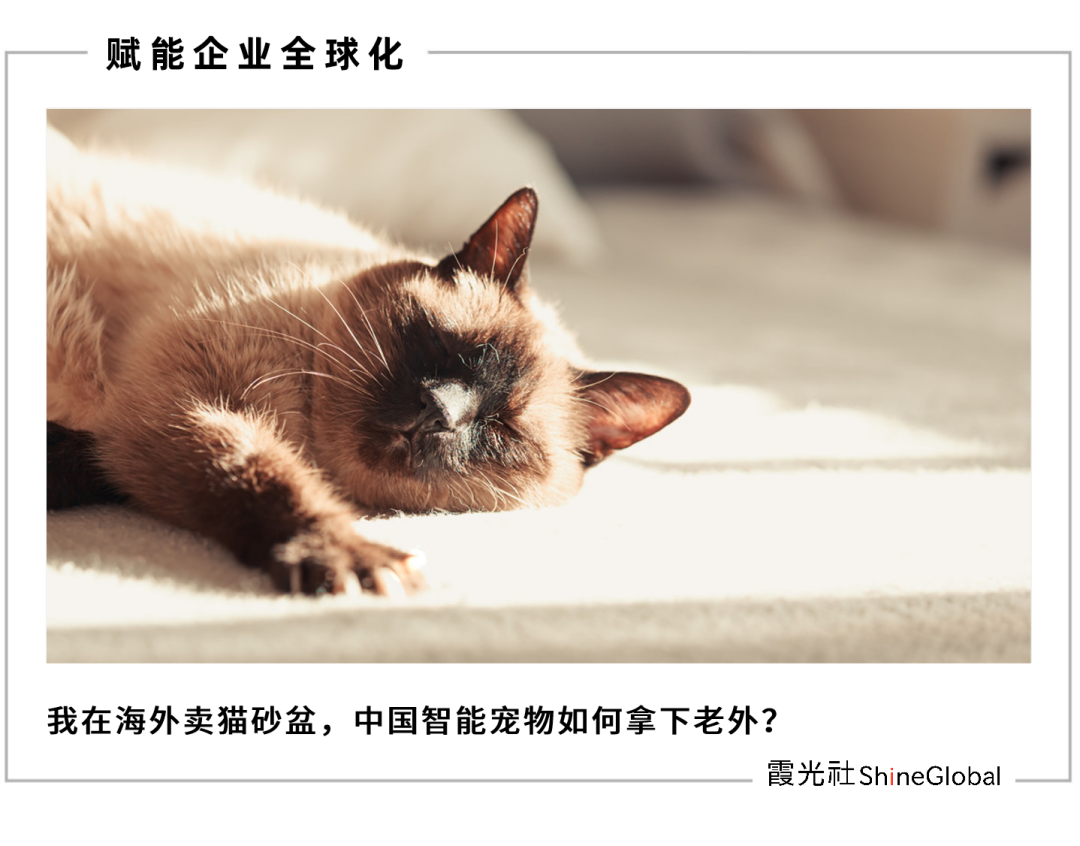 中国智能猫砂盆出海，在欧美卖爆了