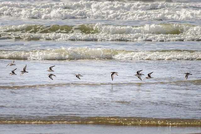  探讨SEO行业未来的发展趋势和团队架构搭建