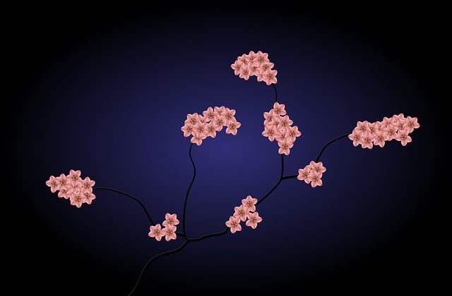 探讨电商平台选址的重要性和优势