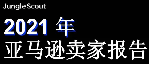 《2021年亚马逊卖家报告》PDF下载