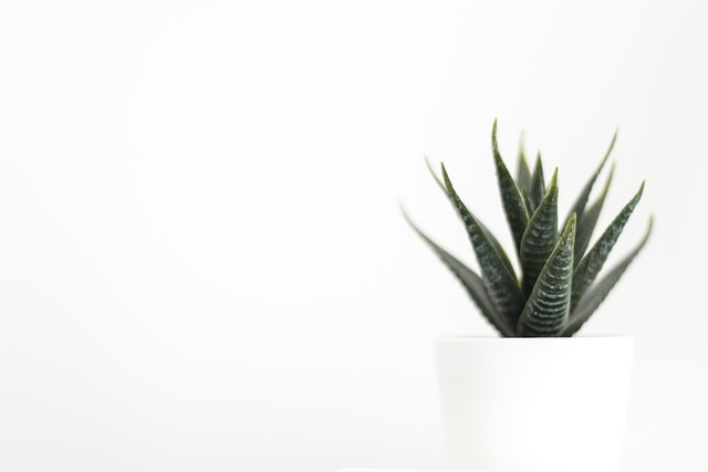 什么是跨境电商翻译？有哪些跨境电商翻译软件？