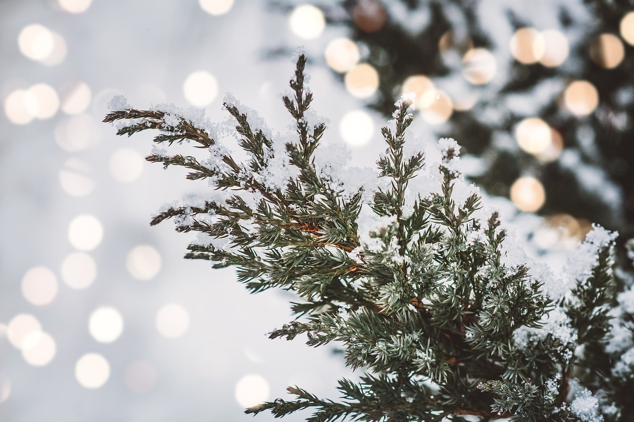 英国跨境电商平台有什么优势以及特点？