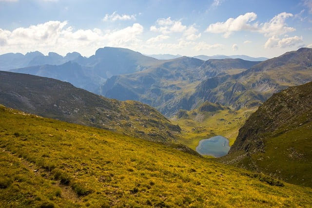 showroomlive：有什么特点和功能