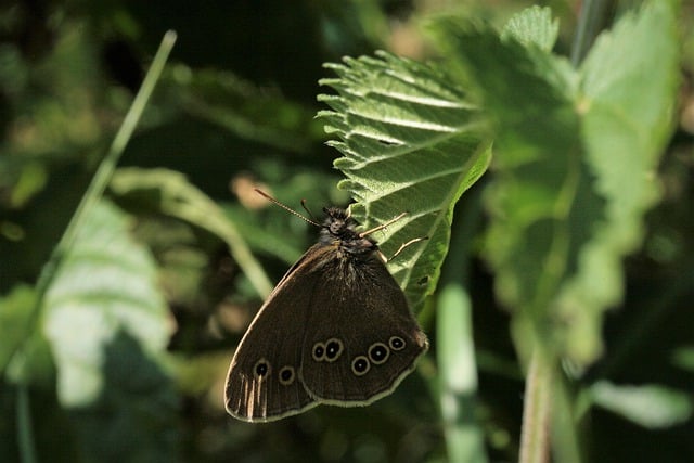 全面解析阿里巴巴国际站的使用方法