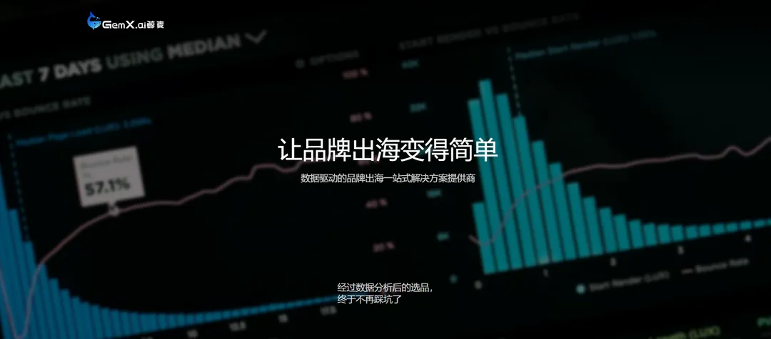 鲸麦GEM.AI