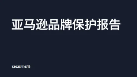 《2022年亚马逊品牌保护报告》PDF下载