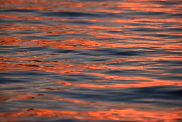 epr注册：有什么好处-如何注册？