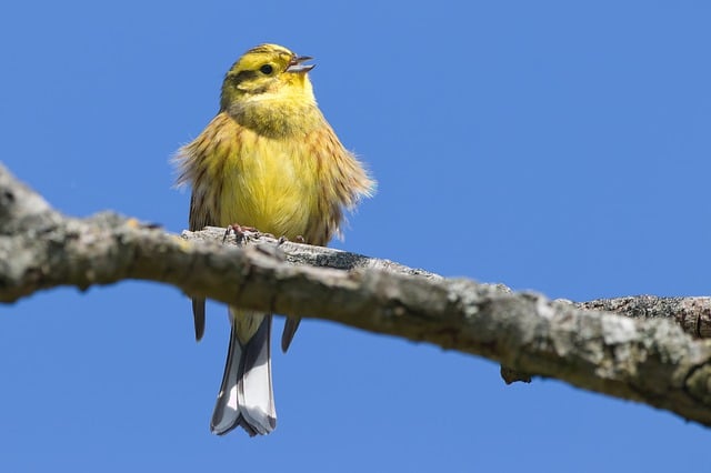 shopify开店需要注册公司吗 解答shopify开店相关问题