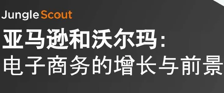 《亚马逊和沃尔玛:电子商务的增长与前景》PDF下载