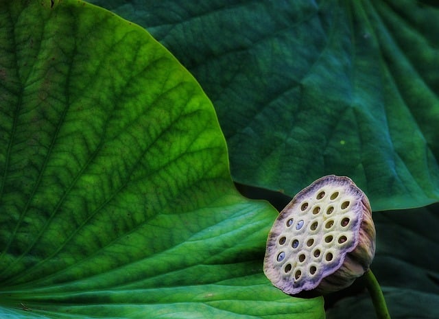 阿里云是做什么的，阿里云是什么平台