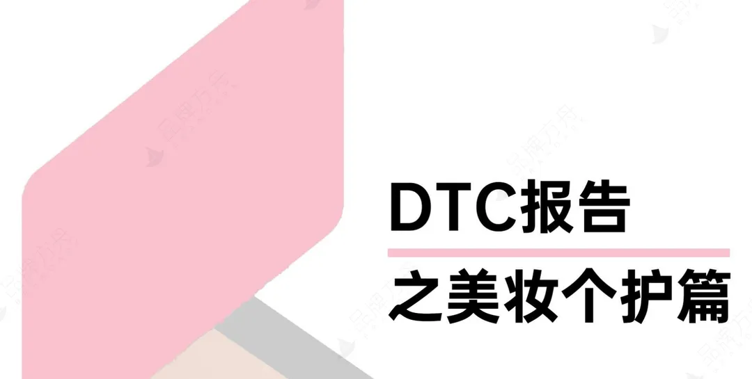 《品牌方舟丨2023年DTC报告之美妆个护篇》PDF下载
