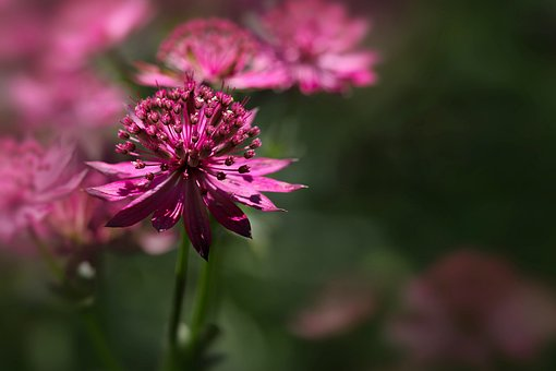 跨境电商培训计划方案-AMZ123亚马逊跨境导航