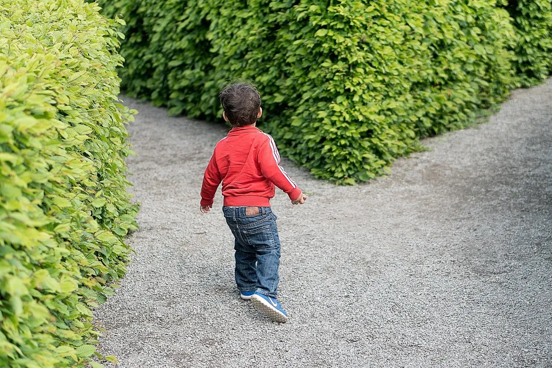 洋淘指纹浏览器:帮助你更安全地进行海外购物