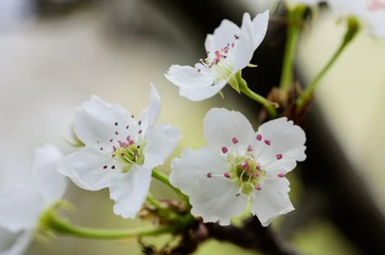 深圳跨境电商培训学校：打造跨境电商人才培养基地