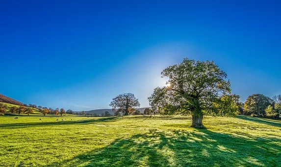 速卖通视频教程：轻松学习速卖通操作技巧
