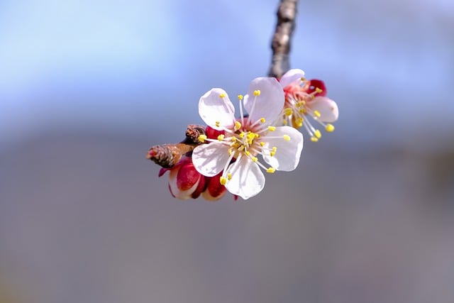 分析跨境电商结算难点及解决方案