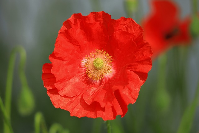 爱飞海淘转运：有哪些优势？