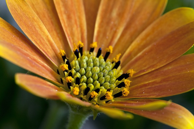 专业PP代付的优点有哪些?