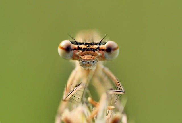 飞洋国际物流集团:全球化物流解决方案提供商