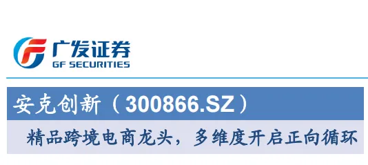 《精品跨境电商龙头，多维度开启正向循环》PDF下载