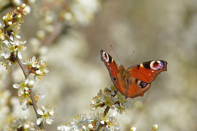 了解非洲电商开店所需的成本